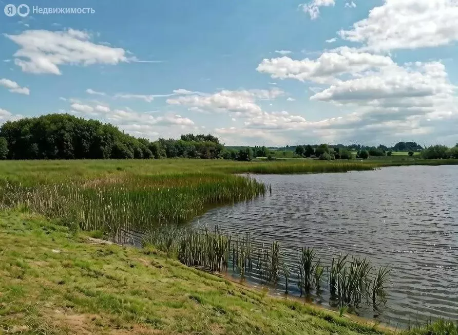 Участок в Ставропольский край, Минераловодский муниципальный округ, ... - Фото 2