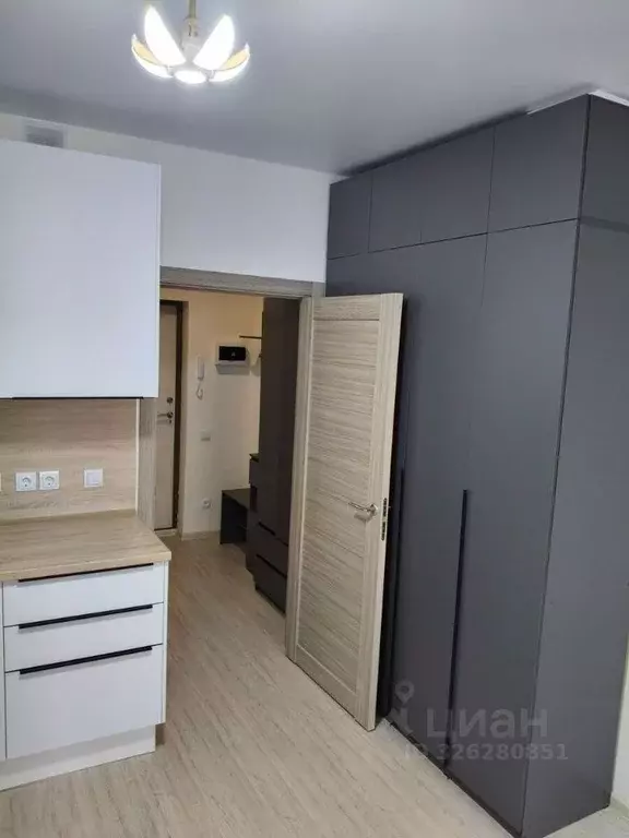 Студия Санкт-Петербург пос. Шушары, просп. Старорусский, 5к1 (22.0 м) - Фото 2