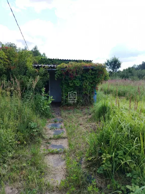 Дом в Голчань, 13 (20 м) - Фото 0