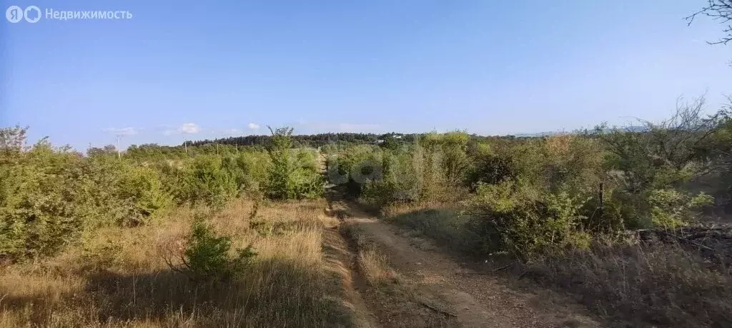 Участок в Бахчисарайский район, село Скалистое (200 м) - Фото 1