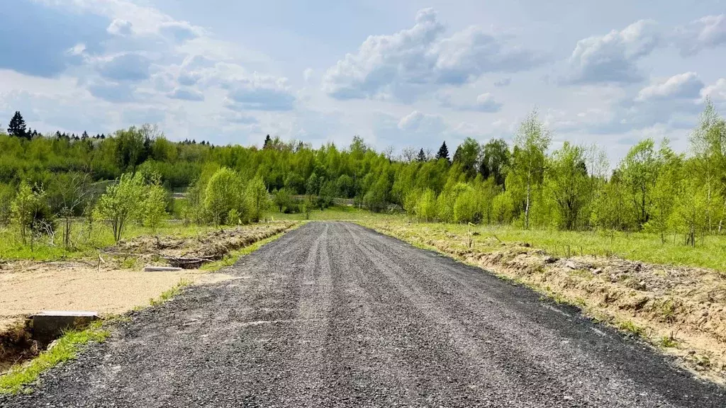 Участок в Московская область, Дмитровский муниципальный округ, д. ... - Фото 2