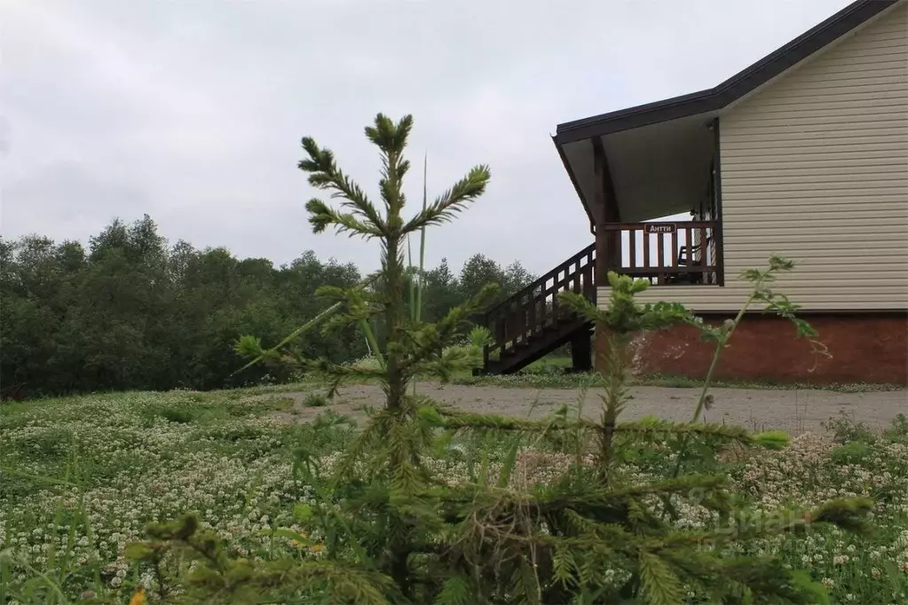 Дом в Карелия, Питкярантский муниципальный округ, д. Сумериа 37 (50 м) - Фото 1