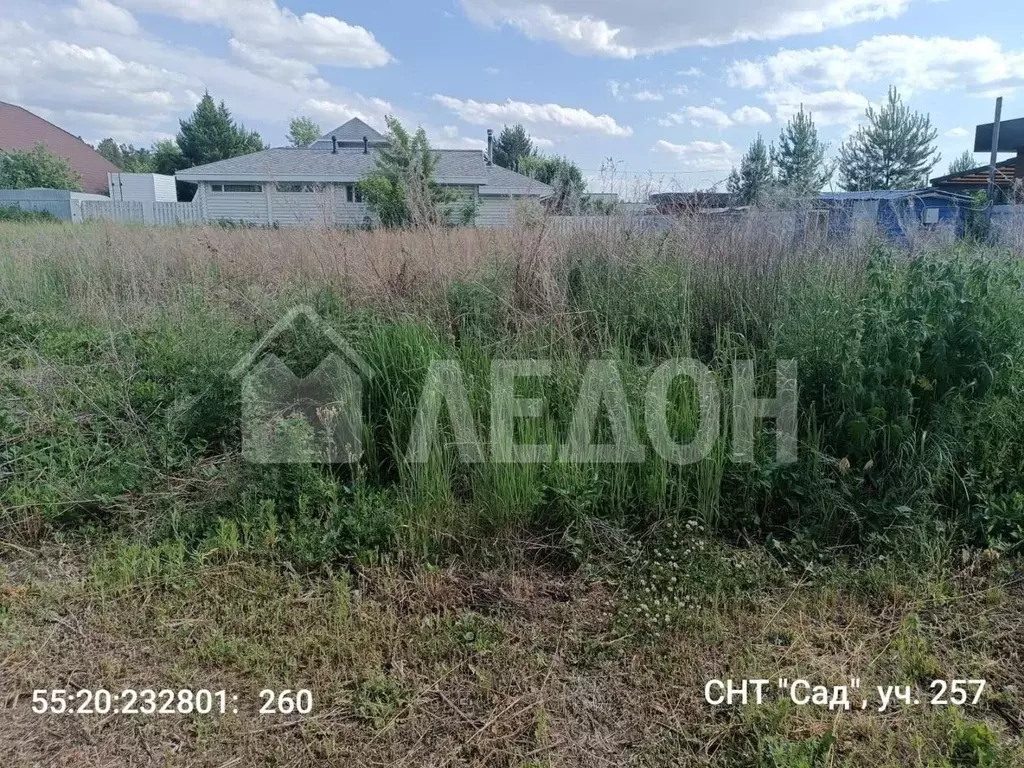 Участок в Омская область, Омский район, с. Усть-Заостровка ул. 4-я ... - Фото 1