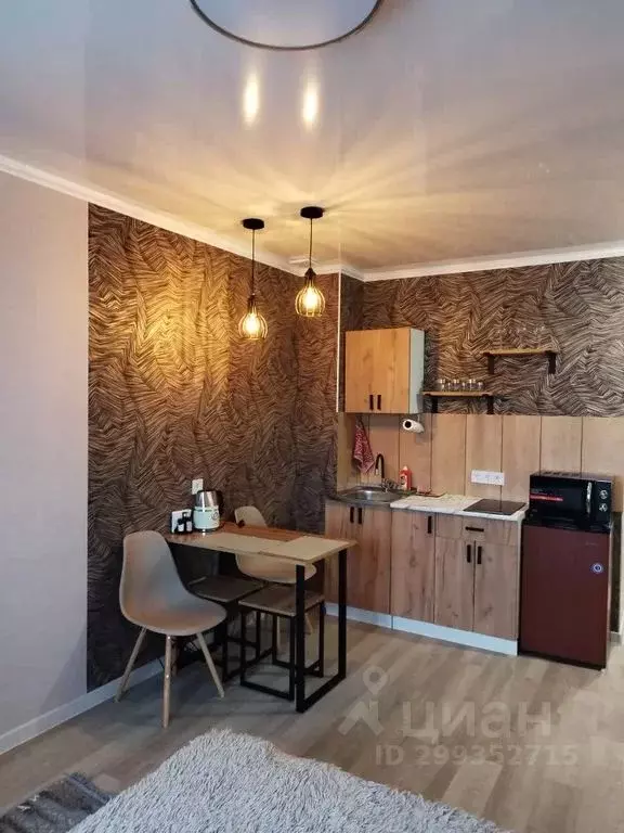 Студия Алтайский край, Белокуриха ул. Соболева, 22 (24.0 м) - Фото 0