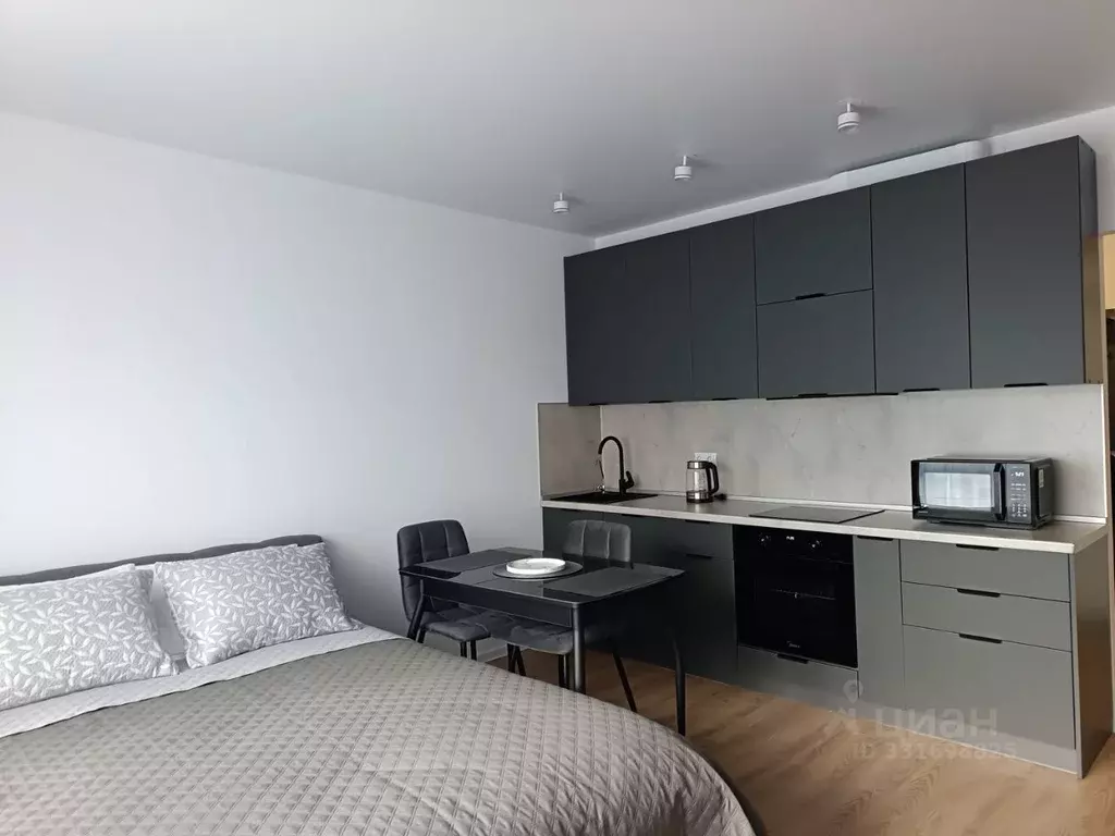 Студия Санкт-Петербург Кантемировская ул., 13 (28.0 м) - Фото 2