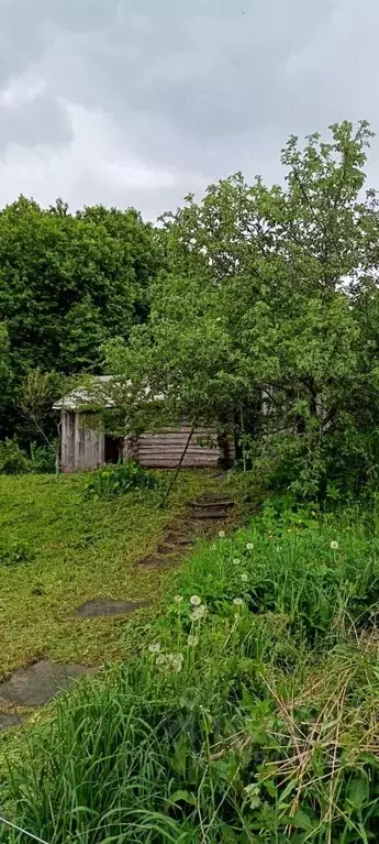 Дом в Нижегородская область, Вадский муниципальный округ, с. Борисово ... - Фото 1