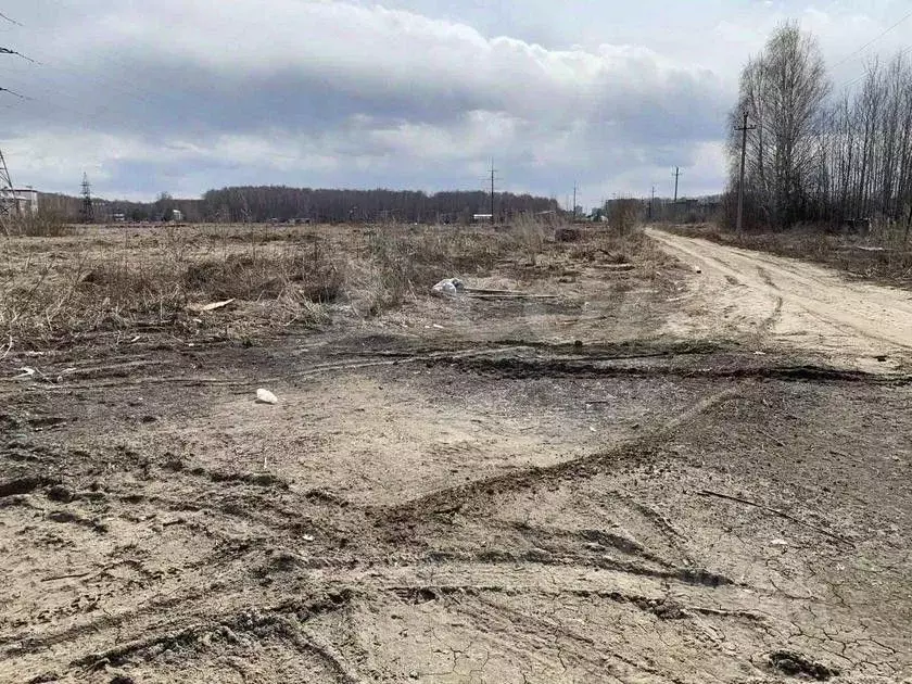 Участок в Тюменская область, Нижнетавдинский район, Журавли ДНП  (11.0 ... - Фото 0