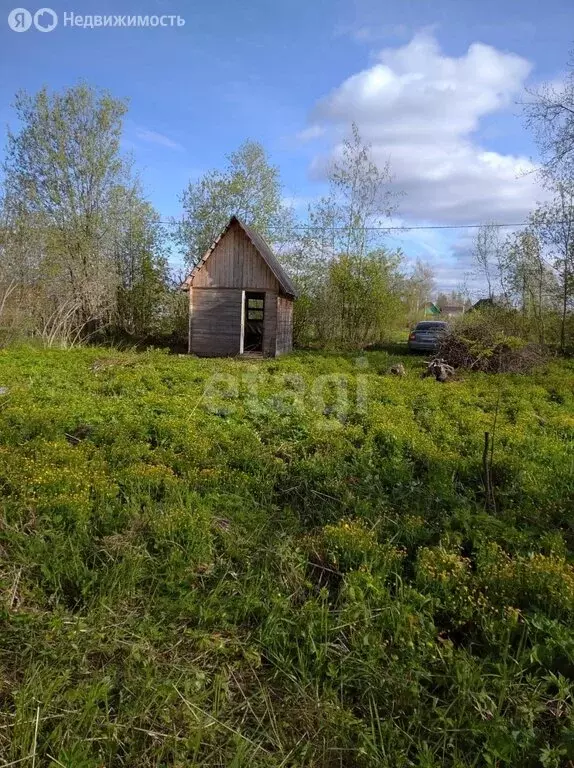 Дом в Шекснинский район, сельское поселение Нифантовское, ... - Фото 1