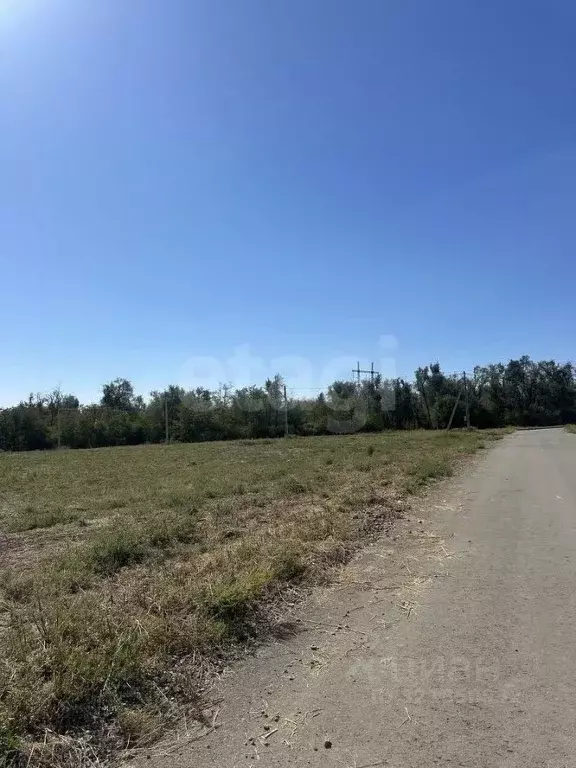 Участок в Ростовская область, Аксайский район, Большелогское с/пос, ... - Фото 0