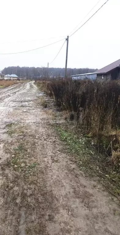 Участок в Калужская область, Ферзиковский муниципальный округ, Красный ... - Фото 1