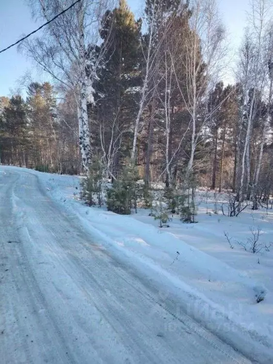 Участок в Иркутская область, Шелеховский район, Баклашинское ... - Фото 1