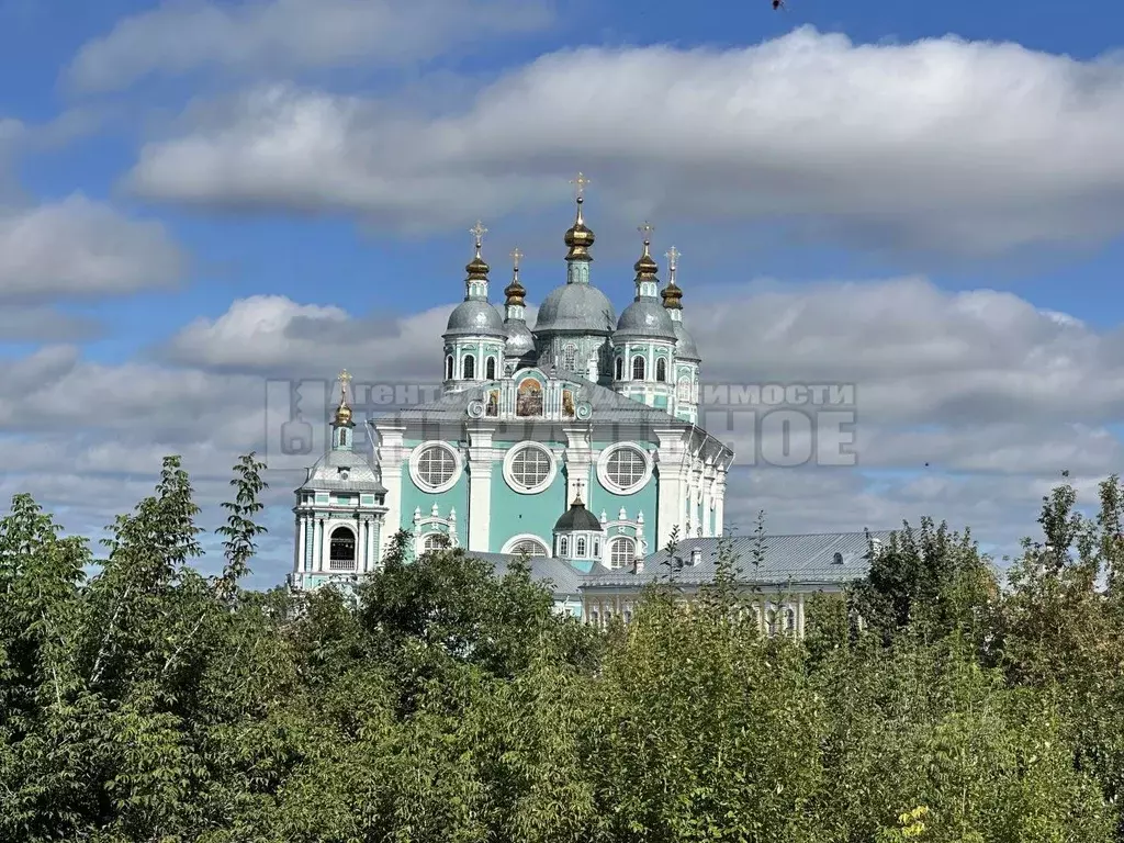 Участок в Смоленская область, Смоленск ул. Коненкова, 13 (17.0 сот.) - Фото 1