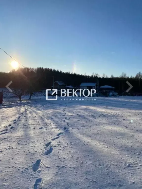 Участок в Костромская область, Кострома Ручеек СНТ, 31 (12.0 сот.) - Фото 1