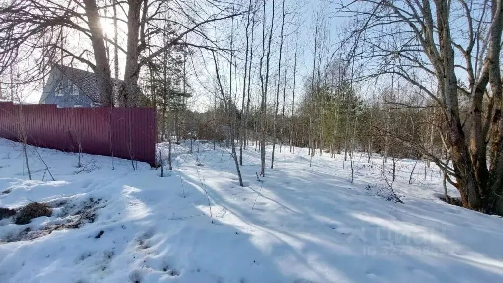 Участок в Тверская область, Старицкий муниципальный округ, д. Жихарево ... - Фото 2