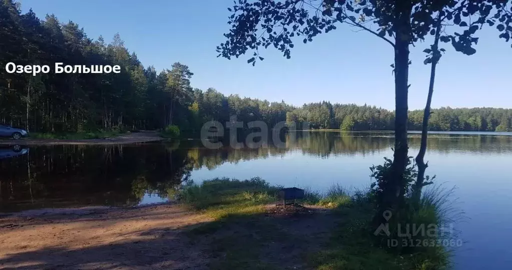 Участок в Ленинградская область, Всеволожский район, Лесколовское ... - Фото 0