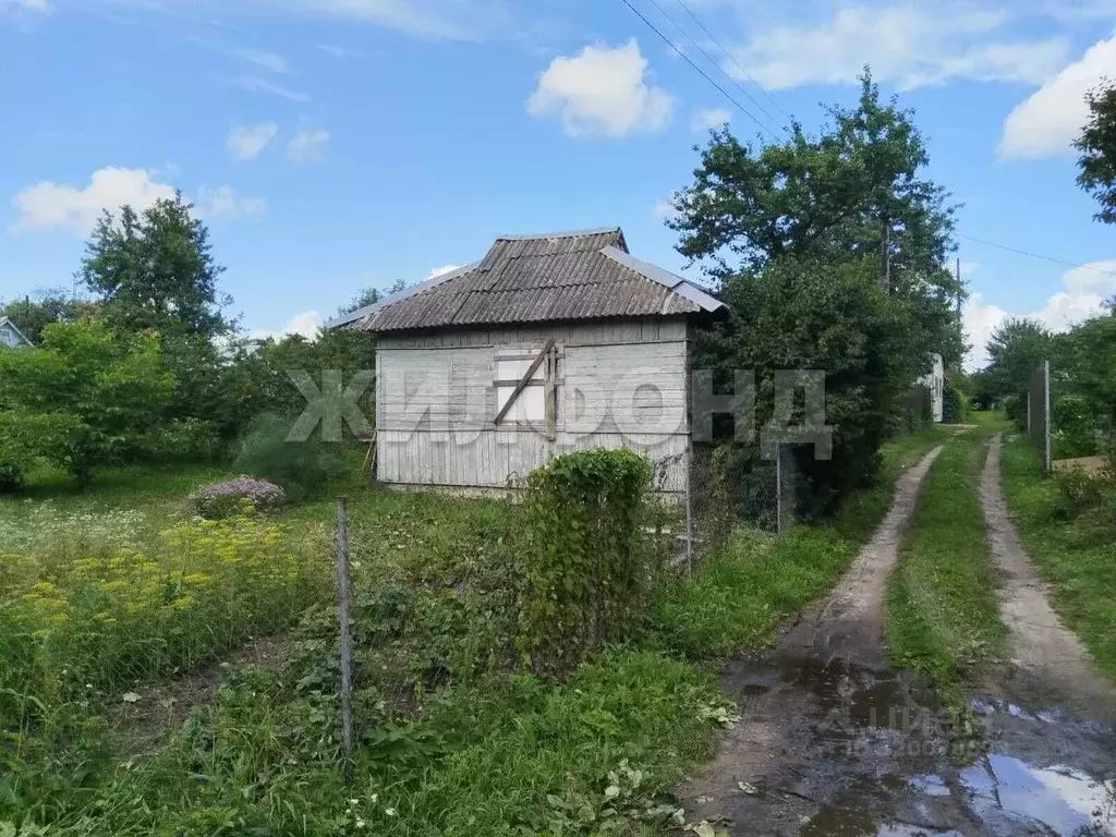 Участок в Брянская область, Брянск  (11.0 сот.) - Фото 0