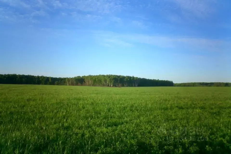 Участок в Оренбургская область, Оренбургский район, пос. Ленина  ... - Фото 0