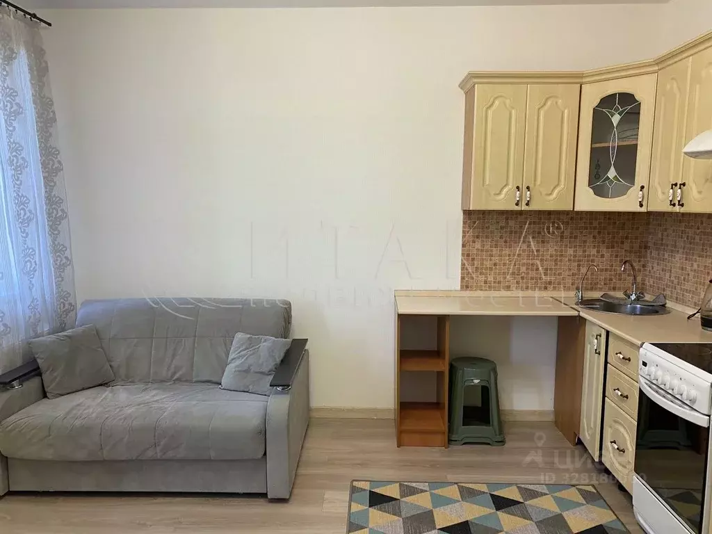 Студия Ленинградская область, Всеволожский район, Заневское городское ... - Фото 2