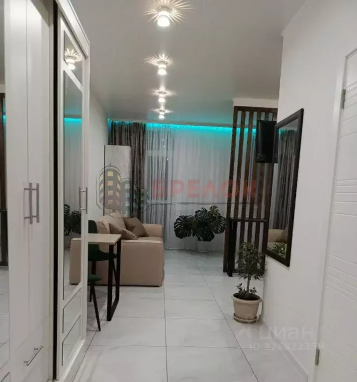 Студия Ростовская область, Ростов-на-Дону просп. Ленина, 46/2 (30.0 м) - Фото 1