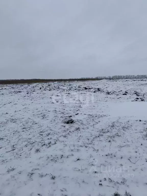 Участок в Белгородская область, Белгородский район, Головинское с/пос, ... - Фото 1