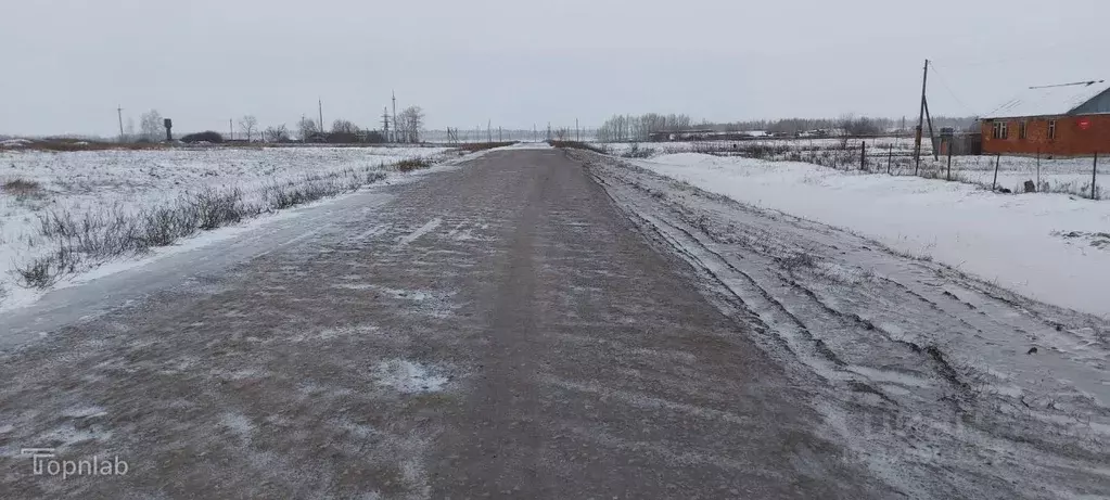 Дом в Тамбовская область, Рассказовский муниципальный округ, с. ... - Фото 1