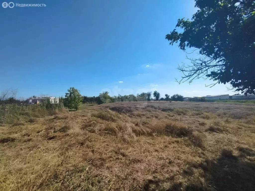 Участок в Энем, СДТ Приозёрное (8.75 м) - Фото 0