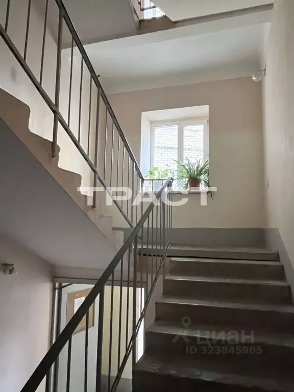 2-к кв. Воронежская область, Воронеж ул. Моисеева, 33 (66.4 м) - Фото 2