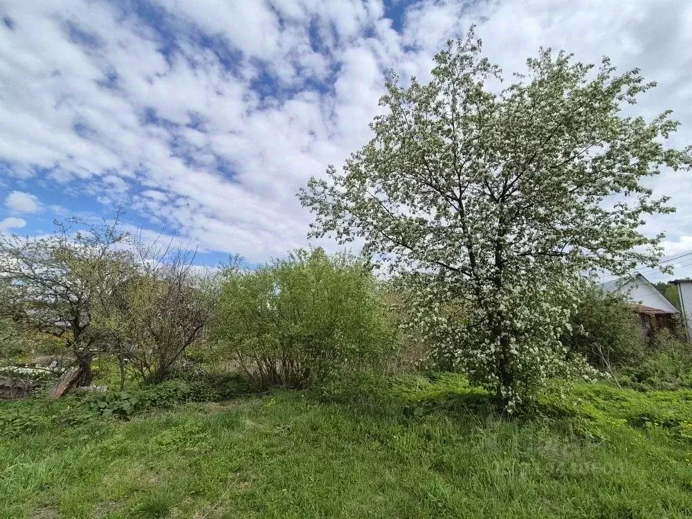 Участок в Свердловская область, Екатеринбург Любимец КС, 56 (5.0 сот.) - Фото 1