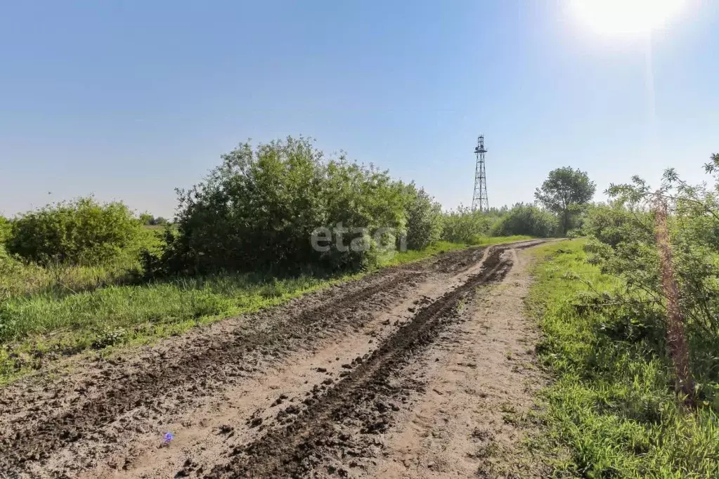 Участок в Тюменская область, Тюменский район, с. Борки  (11.5 сот.) - Фото 1