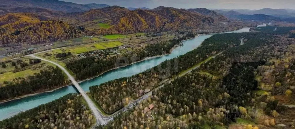 Участок в Алтай, Майминский район, Соузгинское с/пос, пос. Черемшанка ... - Фото 1