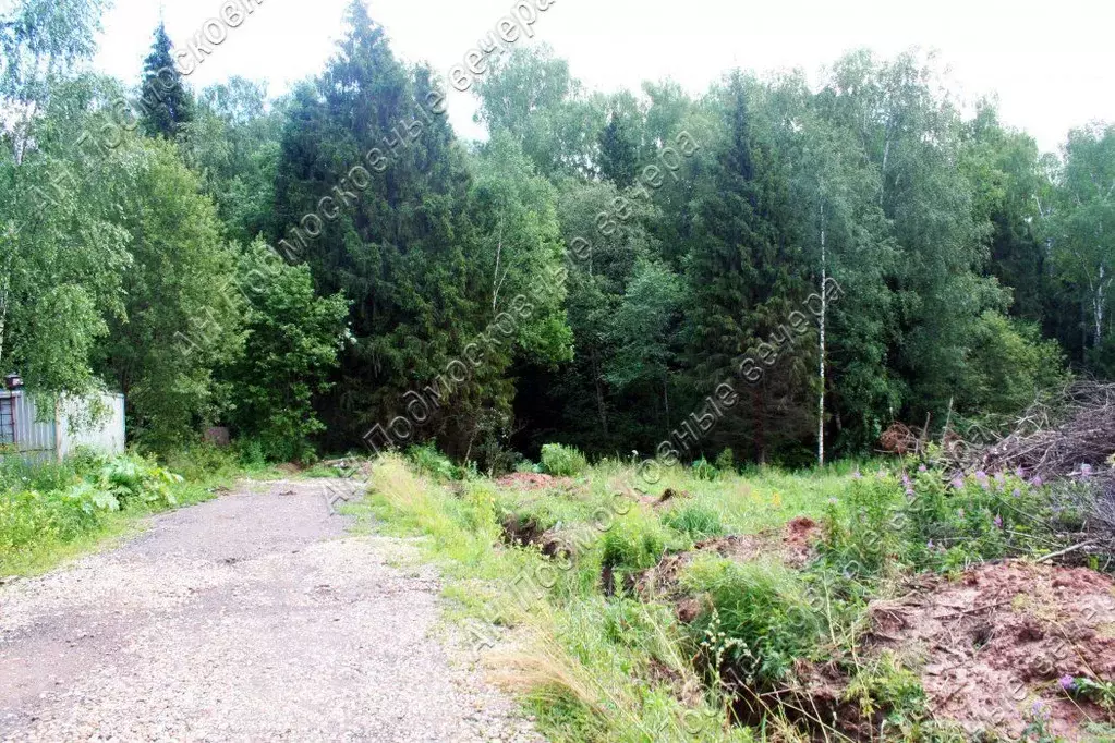 благовещенское 2 дмитровский район. кантон коммуна благовещенск. благовещенское парк дмитровский район. благовещенское 2 участки. новопетровка амурская область благовещенский район фото.