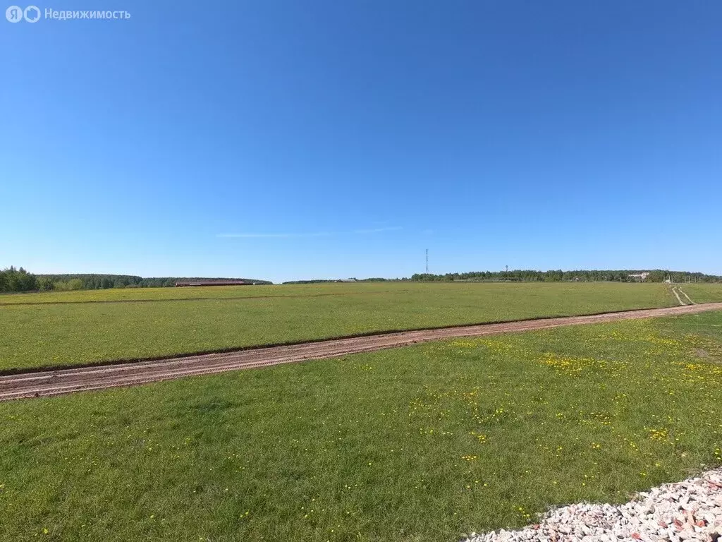 Участок в Раменский городской округ, село Давыдово (6 м) - Фото 1