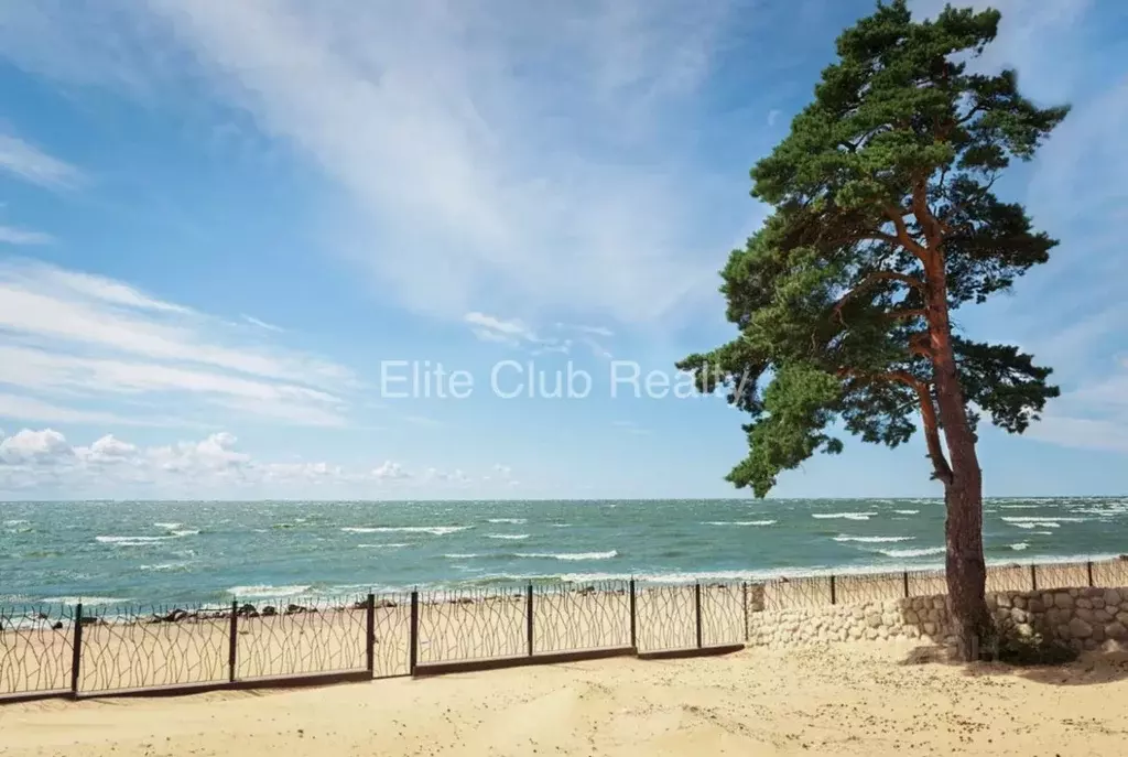 Участок в Санкт-Петербург пос. Репино, Приморское ш., 471Х (24.0 сот.) - Фото 1