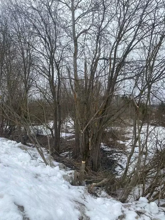 Участок в Тверская область, Конаковский муниципальный округ, д. ... - Фото 0