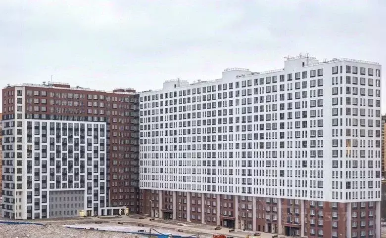 3-к кв. Ленинградская область, Мурино Всеволожский район, ул. Шоссе в ... - Фото 1