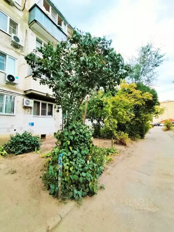3-к кв. Волгоградская область, Камышин Юбилейная ул., 2 (58.5 м) - Фото 0