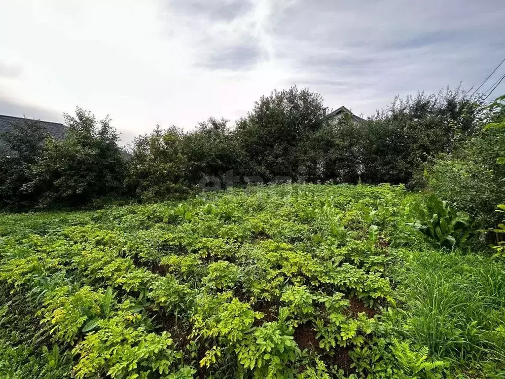 Участок в Москва д. Шаганино, 10/2 (4.27 сот.) - Фото 2