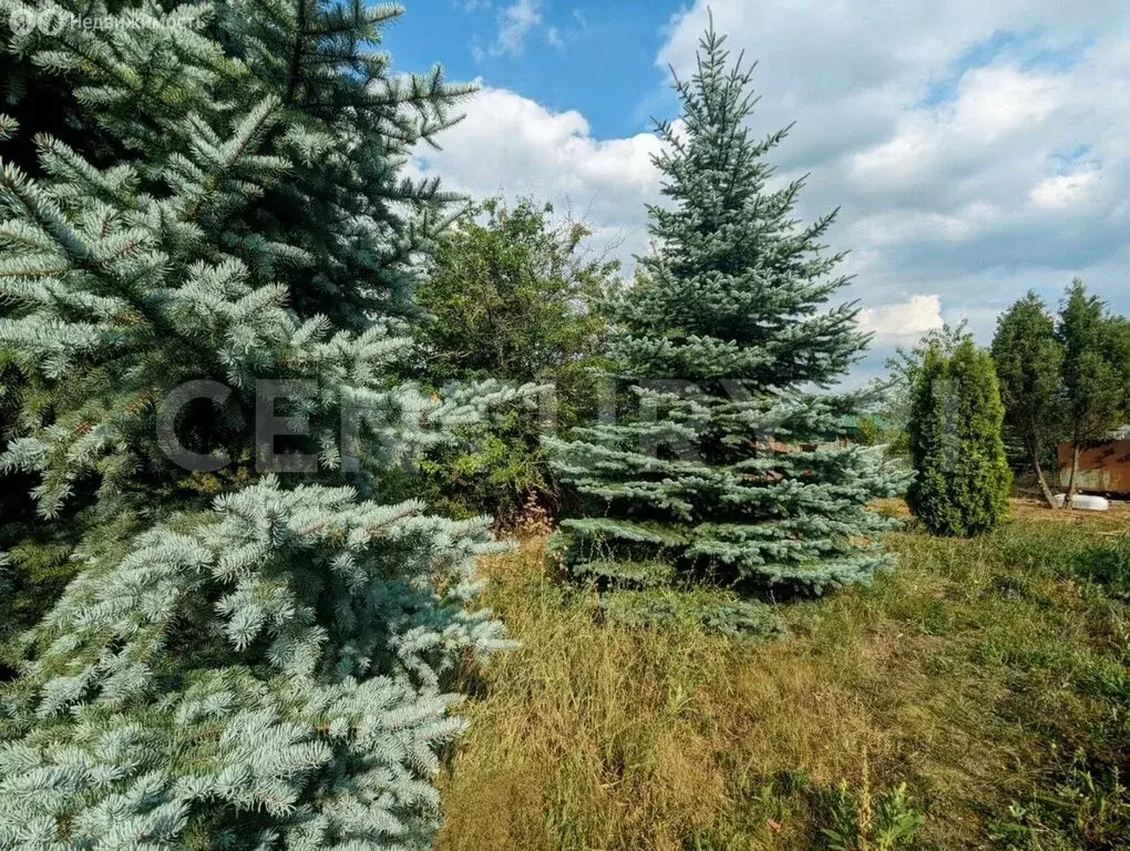 Участок в Перовское сельское поселение, село Клиновка, Родниковая ... - Фото 2