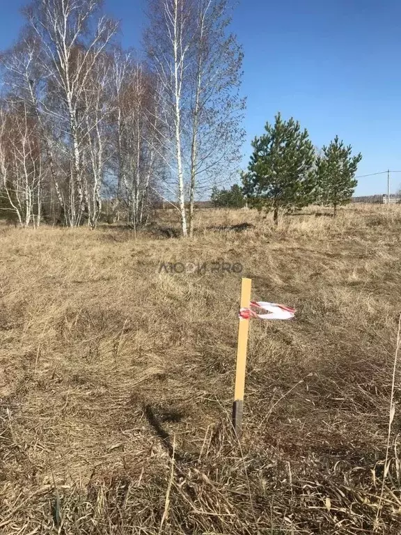 Участок в Алтайский край, Первомайский район, Моторостроитель-2 СНТ  ... - Фото 2