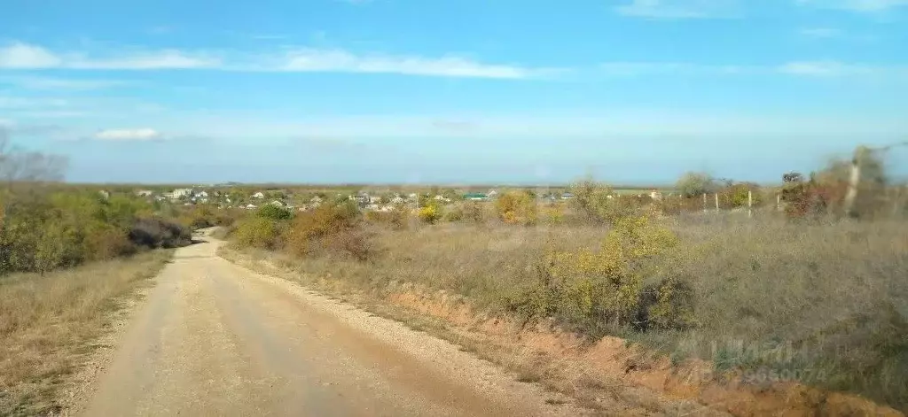 Участок в Крым, Ленинский район, с. Марфовка ул. Наголова (1488.12 ... - Фото 1