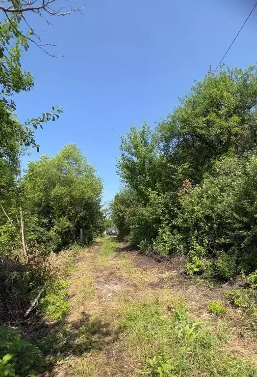 Участок в Пензенская область, Пенза Здоровье-1 садовое дачное ... - Фото 0
