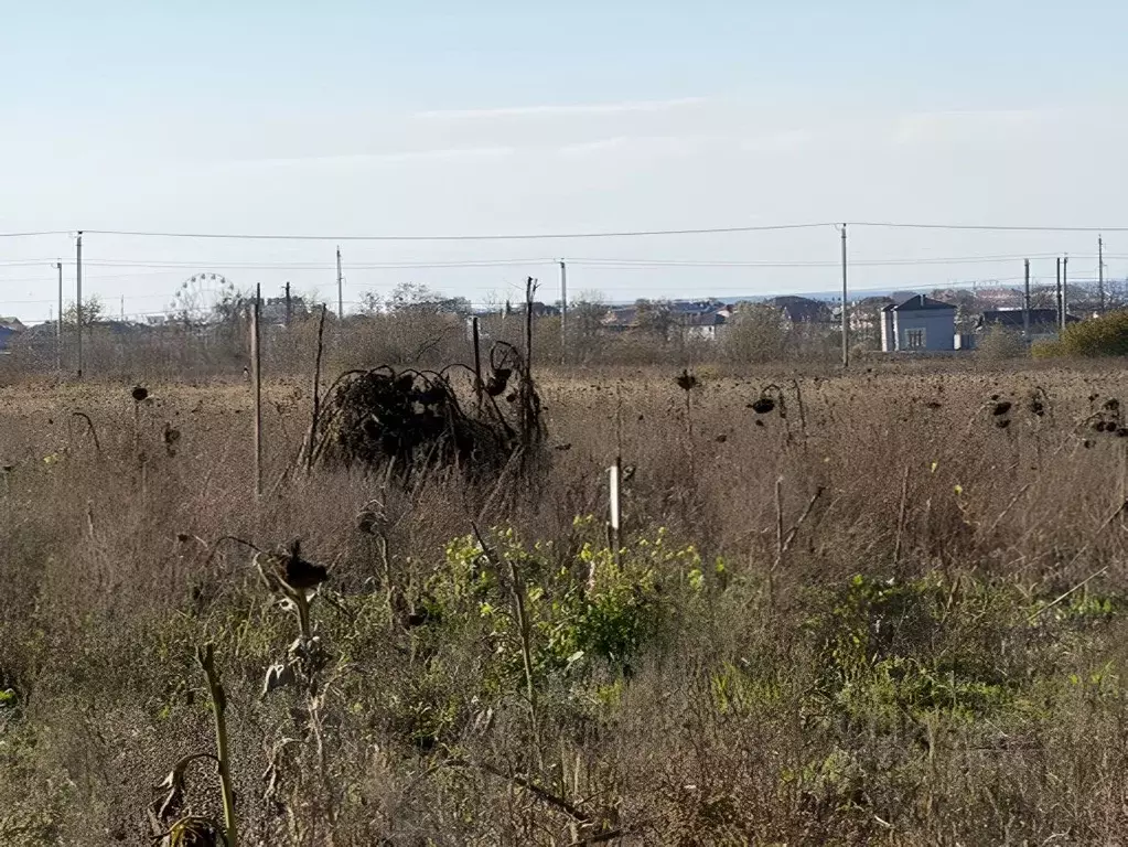 Участок в Краснодарский край, Анапа муниципальный округ, пос. ... - Фото 1