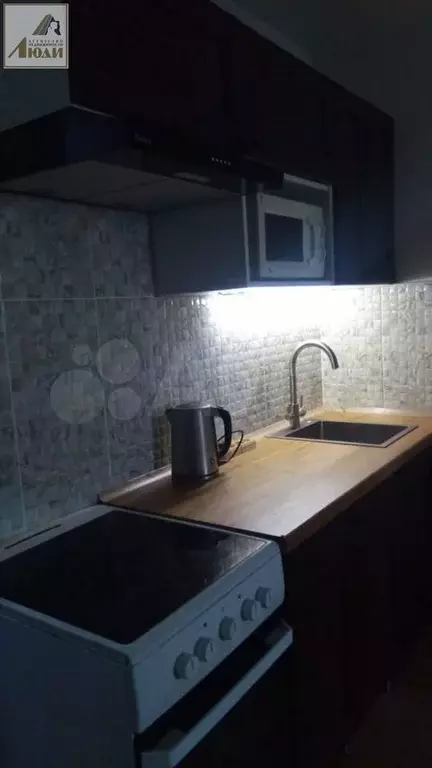 Квартира-студия, 27 м, 4/17 эт. - Фото 1