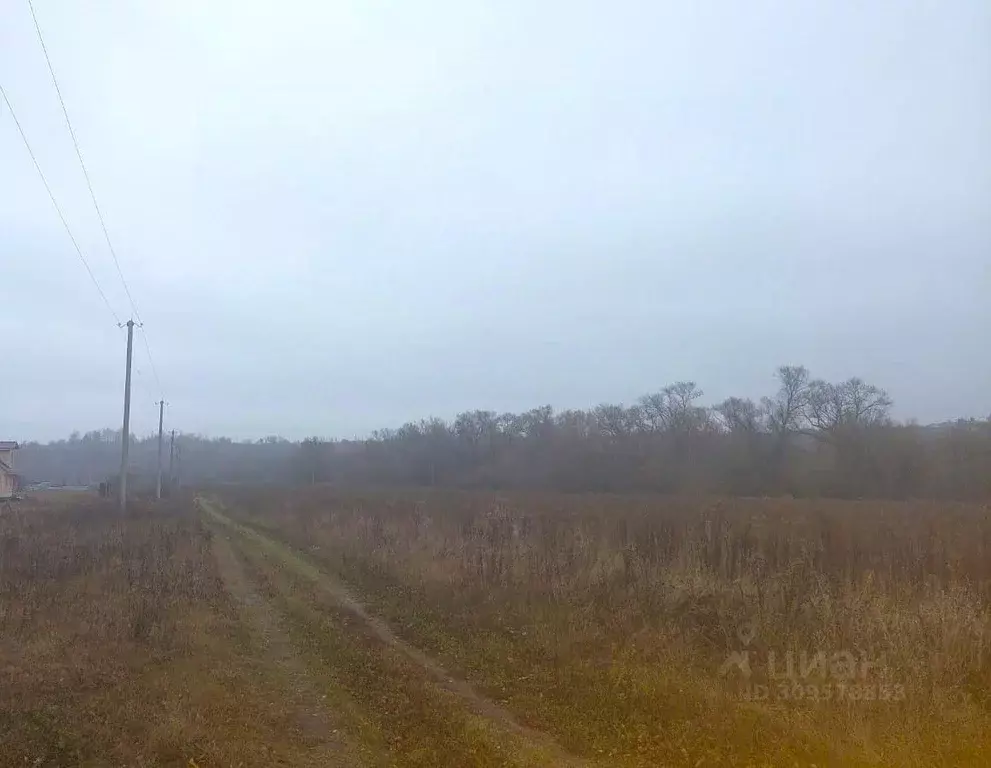 Участок в Орловская область, Орловский район, д. Гать ул. Нагатинская ... - Фото 0