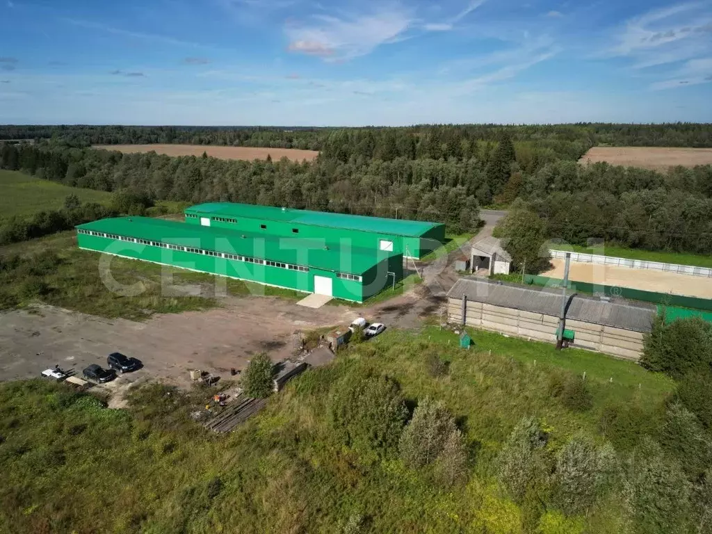 Помещение свободного назначения в Ленинградская область, Волосовский ... - Фото 1