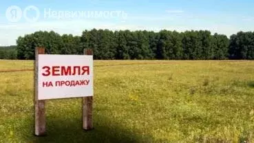 Участок в село Ваньки, Центральная улица (11 м) - Фото 0