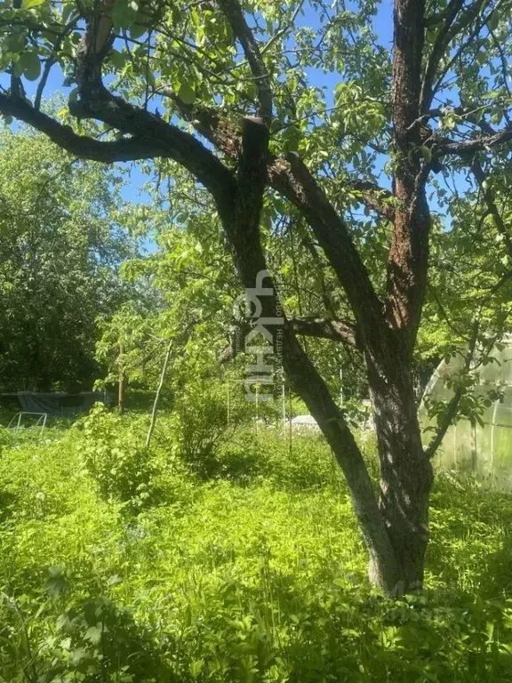 Участок в Нижегородская область, Нижний Новгород Заветы Мичурина Сад № ... - Фото 0