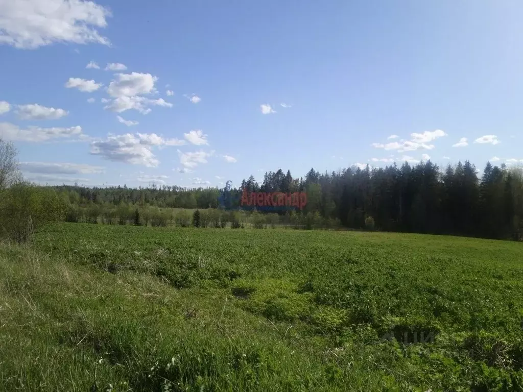 Участок в Карелия, Лахденпохский муниципальный округ, пос. Ринтала  ... - Фото 1