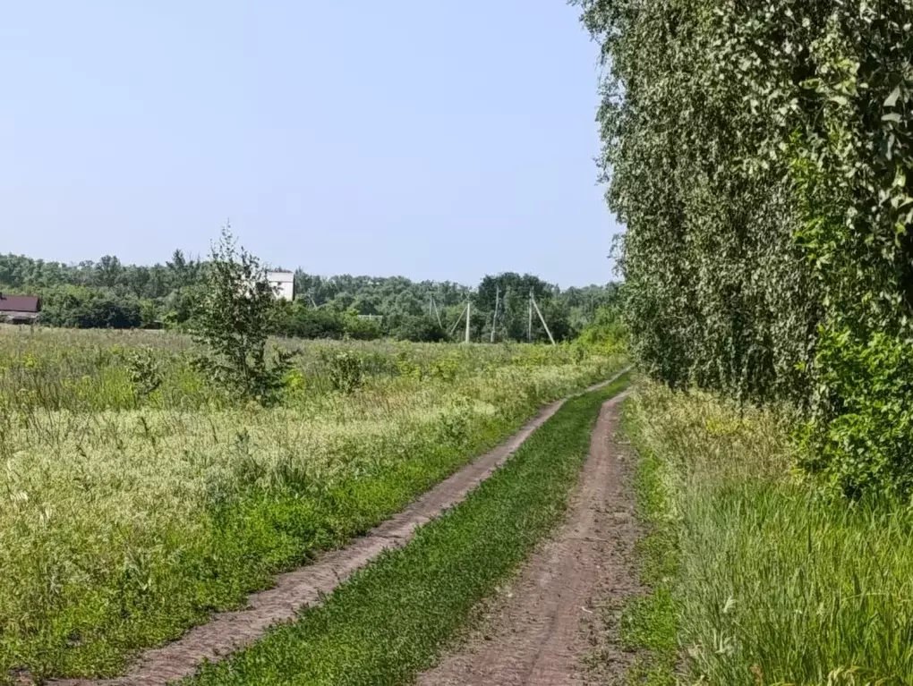Участок в Тамбовская область, Тамбовский муниципальный округ, д. ... - Фото 2