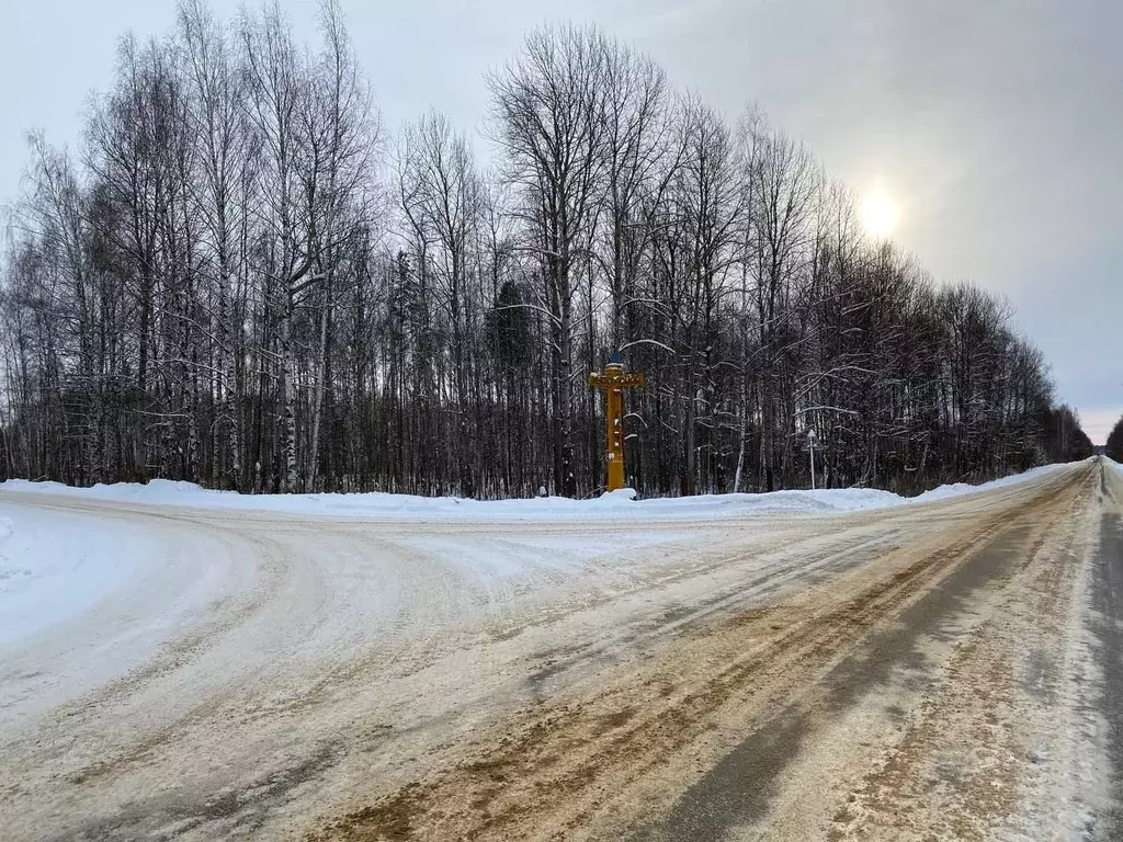 Участок в Владимирская область, Муром д. Орлово,  (33.0 сот.) - Фото 1